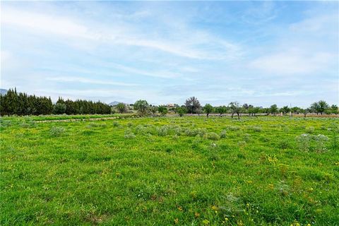 Finca i Selva, Mallorca, Selva - € 1.800.000 | Ref: 46222 - foto 23